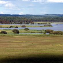 Wet meadows at Lake Kävsjön