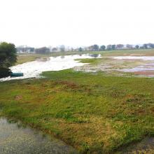 Panoramic view of Sandi Bird Sanctuary