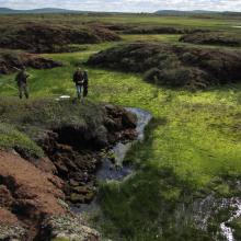 Tavvavuoma has the largest concentration of palsas in Sweden and also the highest.