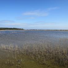 Sesonal flooded land at Grötlingboudd