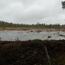 A smaller lake restored by filling a ditch.