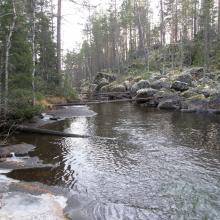 Kniptjärnsbäcken