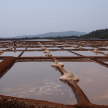 Sanikatta salt pans of Aghanashini