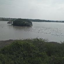 Panoramic view of Magadi kere