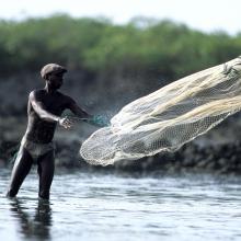 Pêcheur traditionnel