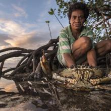 Mita from Ligau Levu Village expertly handles a freshly caught live aggressive mudcrab from the mangroves.