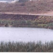 Laguna Las Conchas. 1999. Tiempo de secas.