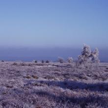 Fagnes en Hivers