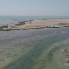 Intertidal mudflats near Shannah 
