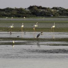 Kinasah lagoon