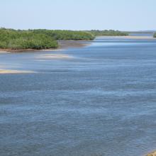 Mangroves d'Antrema