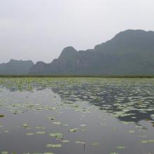 Khao Sam Roi Yot Wetland