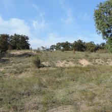 Ropotamo Complex, Dunes