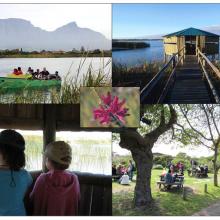 Top Left: Boat trip on Rondevlei; Top Right and Bottom Left: Bird hides at Rondevlei; Bottom Right: Picnic Area at Rondevlei; Centre: Erica Verticillata (Cape Flats Erica) classified as  ‘Extinct in the Wild’, and now growing at  Rondevlei