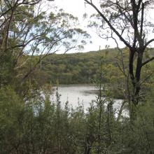 Blue Lake, Moreton Bay Ramsar Site