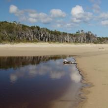 North Stradbroke Island, Moreton Bay Ramsar Site