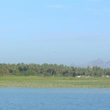 Panoramic view of the wetland complex