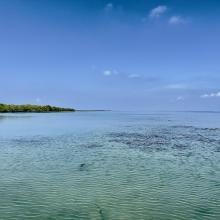 Panoramic view of Gulf of Mannar Marine Biosphere Reserve Panoramic view of Gulf of Mannar Marine Biosphere Reserve