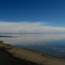 Laguna de Llancanelo