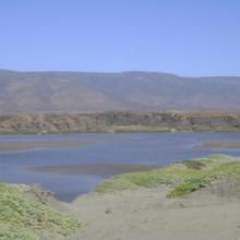 Vista panorámica del Humedal Huentelauquén, desde ribera norte