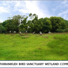 Chitrangudi Bird Sanctuary