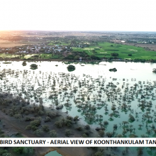 Aerial view of Koonthankulam Sanctuary