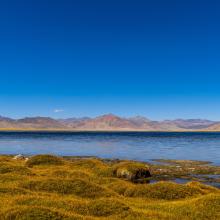 Panoramic view of the freshwater lake of Startsapuk Tso, situated in the Tso Kar basin. Panoramic view of the freshwater lake of Startsapuk Tso, situated in the Tso Kar basin.