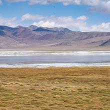 White salt efflorescence on the bank of Tso Kar. White salt efflorescence on the bank of Tso Kar.