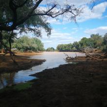 Nwambi Pan (dry season)