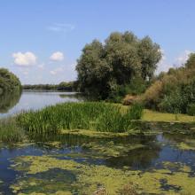 Dniester-Turunchuk Crossrivers Area - Ukraine