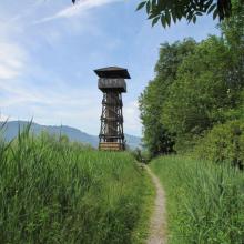 Ramsar site no. 509: Kaltbrunner Riet