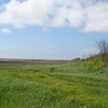 Obytochna Spit, meadows, the view from Naberezhne village