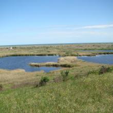 Floodplain lakes in Berda mouth