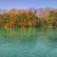 Nangal wetland