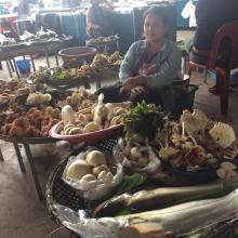 Fish from Songkhram river at the local marketplace.