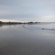 Dungarvan Harbour