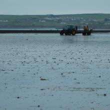 Dungarvan Harbour