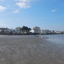 Sandymount Strand/Tolka Estuary