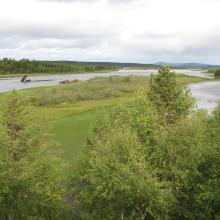 Pasvik Nature Reserve