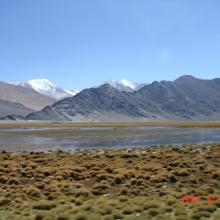 landscape of Maidika wetland