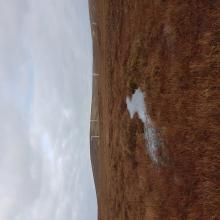 Pool within blanket bog, wind turbines in the background (not within the Ramsar site)