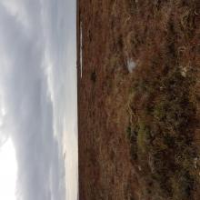 Intact blanket bog with pool system