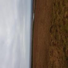 Blanket bog with adjacent and distant conifer plantation.