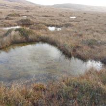 Upland blanket bog with pool system, Lough Barray Bog.