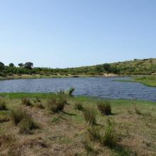 tourbière du lac noir