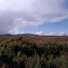 View across to Owenboy Bog