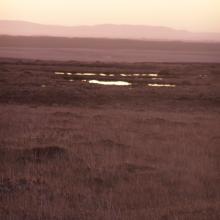 Blanket bog at dusk