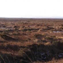 Blanket bog at Sheskin