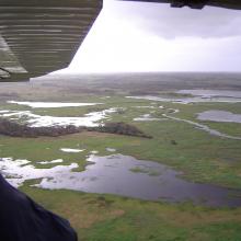 Vista aérea de islas de Selva Baja inundable en temporada de secas, indispensables para los ciclos reproductivos de diferentes especies de fauna silvestre