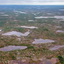 Sammuttijänkä-Vaijoenjänkä mires comprise a mosaic of freshwaters, mineral soil and peatland.